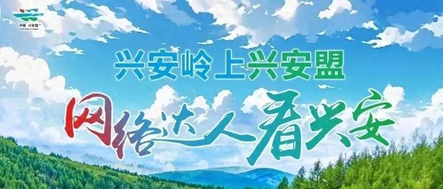 【网络达人看兴安】岭上兴安趣探·洮儿河湿地的治愈之旅