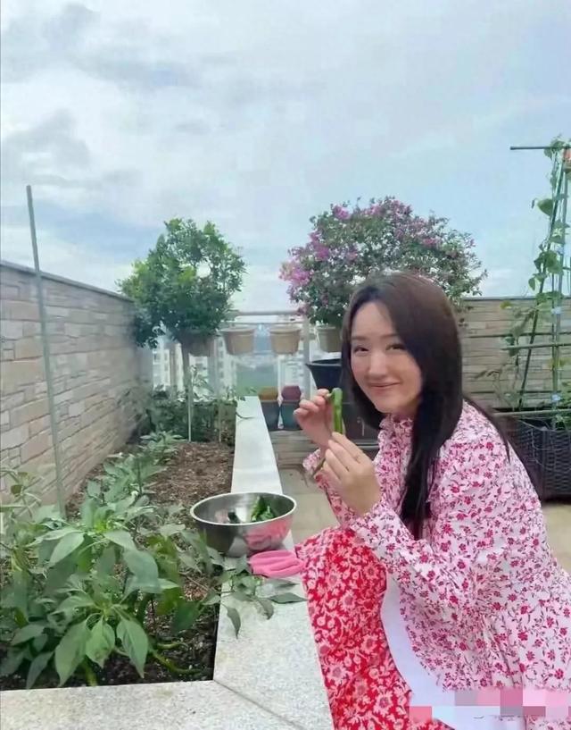 杨钰莹自家豪宅种辣椒 有收获了 50多岁了 精致的像18岁少女 绝了