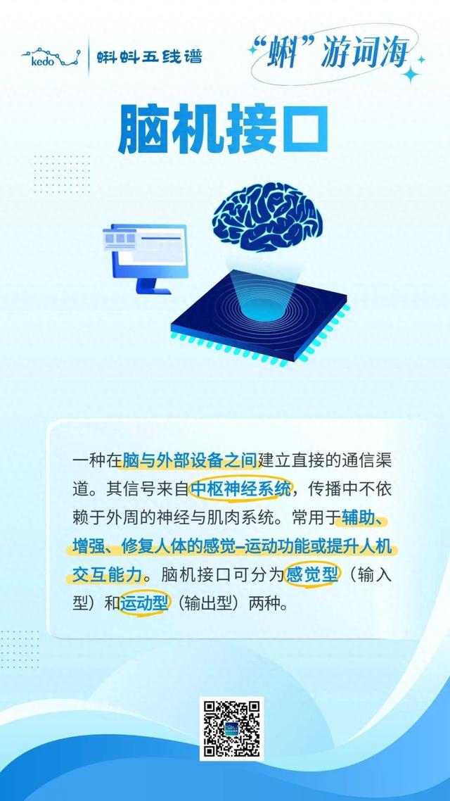 “蝌”游词海｜脑机接口