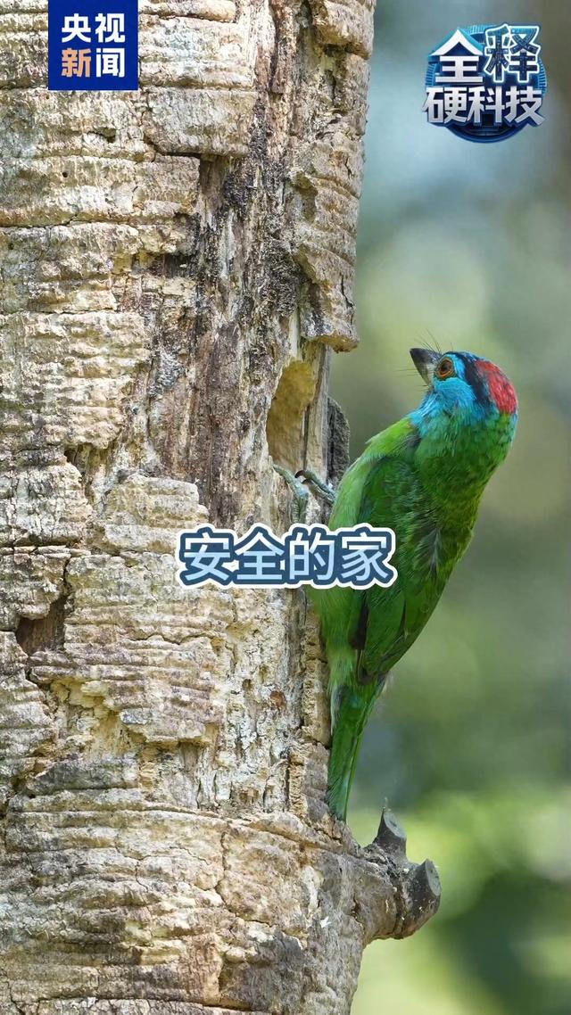 全释硬科技丨旅游宝藏地！带你解锁中国34个世界生物圈保护区