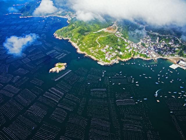 八月，在浙江嵊泗东部三岛遇见最美盛夏