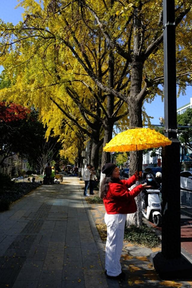 从“不扫”变“缓扫”，苏州用十五年守护秋日温暖！