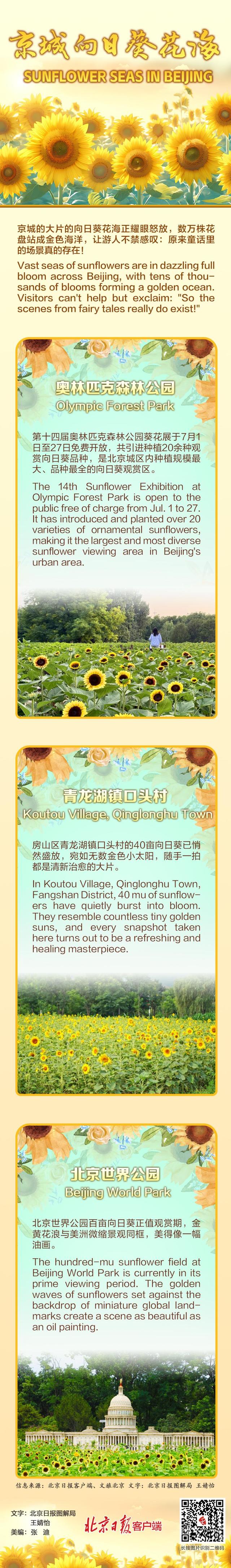 一图了解丨京城向日葵花海都在哪儿？