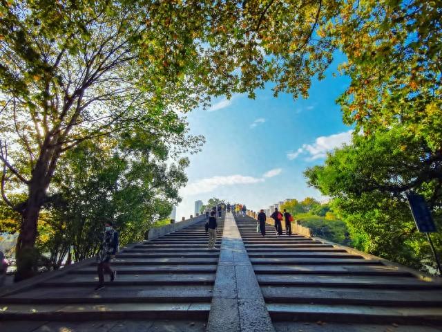 桂花香里漫步杭州：这5条治愈系路线，都是从一缕桂花香开始的！