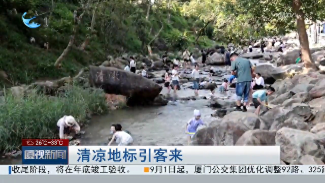 清凉地标引客来：暑期厦门山林避暑地受热捧