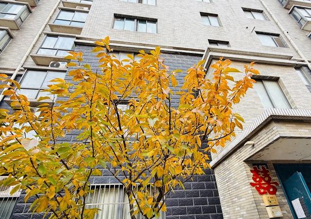 新视界｜静谧而美丽！济南的秋天美景欣赏