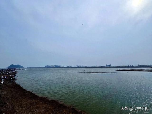 辽宁绝美海岛奇观！这个秋天一定要去笔架山，看一条会消失的路