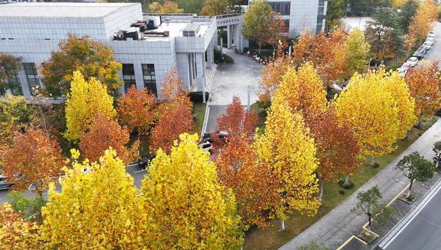 旌德，红黄橙绿白～