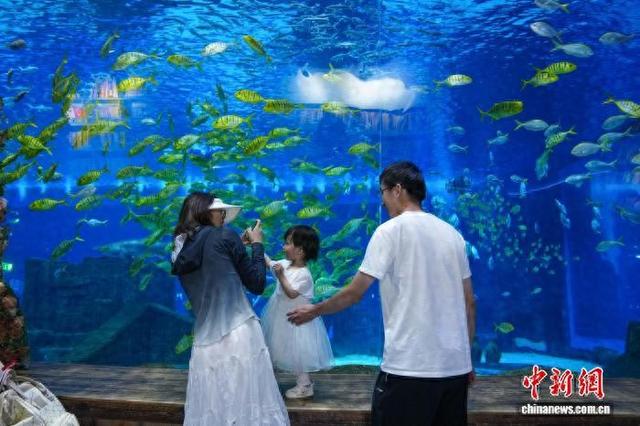 云南昆明：畅游海洋世界享快乐暑假