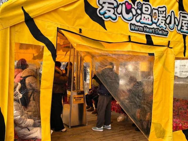 为游客设温暖小屋、大树穿上针织 “新衣”：东北虎林园冬季“换装”迎客