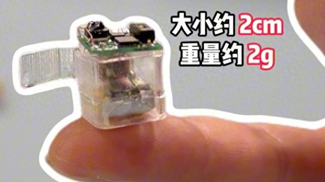30米高空摔落不死！“机器版小强”问世，仅重2克，灾难中它能救命