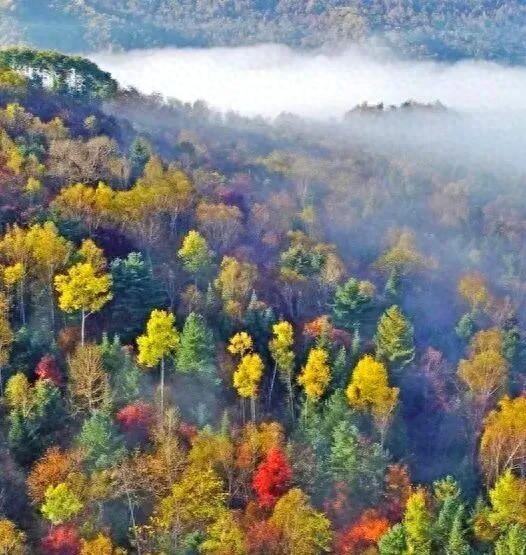 李生丨红色印记 第四十三集 《秋日里的亮子河 自然的梦幻绮境》