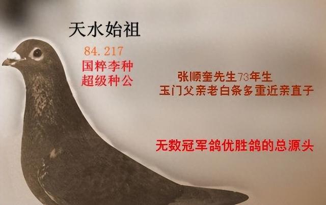 admin 第415页