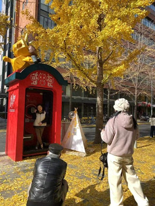 局门路落叶余额不足！市民寒风中打卡满地落叶美景，街头烟火美食也别错过