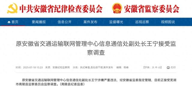 涉嫌严重违法，王宁被查！