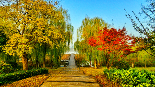 图说遂平：满城缤纷色 斑斓绘初冬