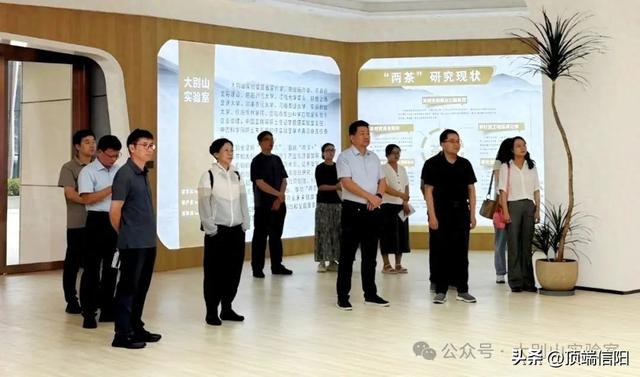 中国农业科学院茶叶研究所王新超研究员一行到大别山实验室调研