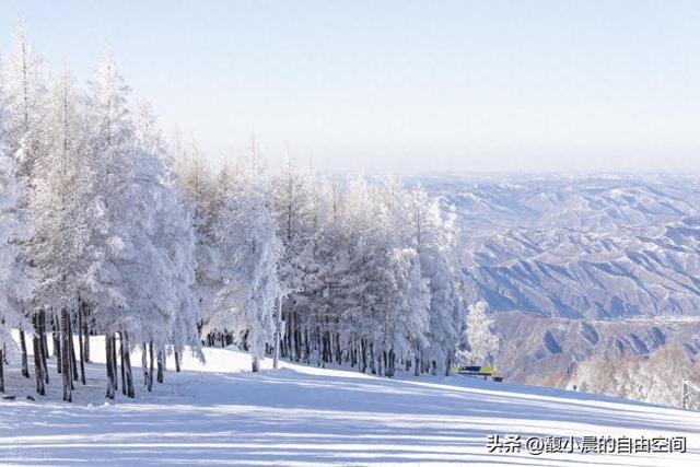 大雪为幕，赴一场心动之约