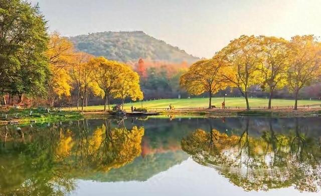 南京人奔走相告！世界级公园免费开放