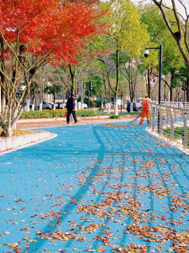 在千岛湖，这5公里要慢行！