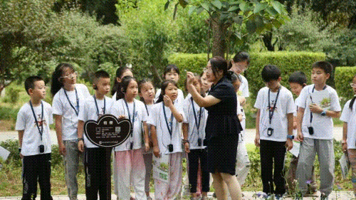 火出圈！这座“央妈”推荐的高校博览园暑期游客创新高