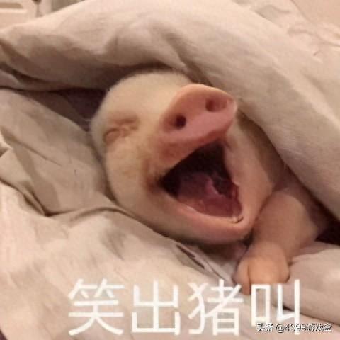 4399逃离鬼屋攻略（你是怎么玩恐怖游戏的三句话带你认识恐怖游戏正确玩法）