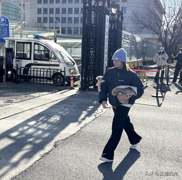 全红婵北京归队 与陈艺文司雅杰聚会 喝咖啡拍照笑容甜 欢声笑语不断