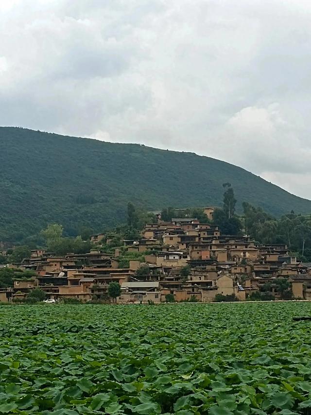 滇游行纪之二: 土司寨→城子古村