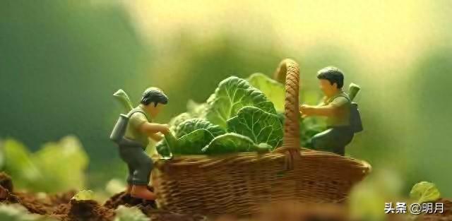 我啥子都不欠你的歌词啥意思（我不欠你的）