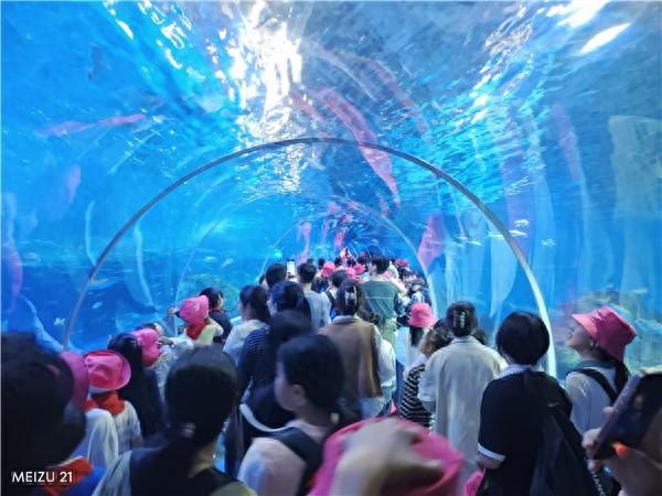 阜阳市科协举办2025年科普研学活动