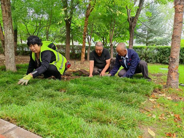 呼和浩特市：打造人与自然和谐共生的绿色家园