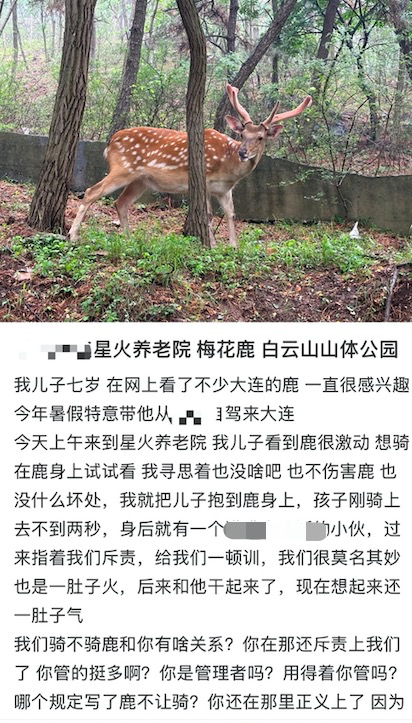 女子自曝观赏梅花鹿时将孩子放到鹿身上骑乘，引发网友争议