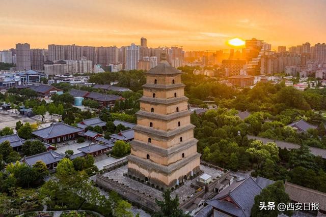 2025年丝绸之路文化遗产国际交流活动在我市举行