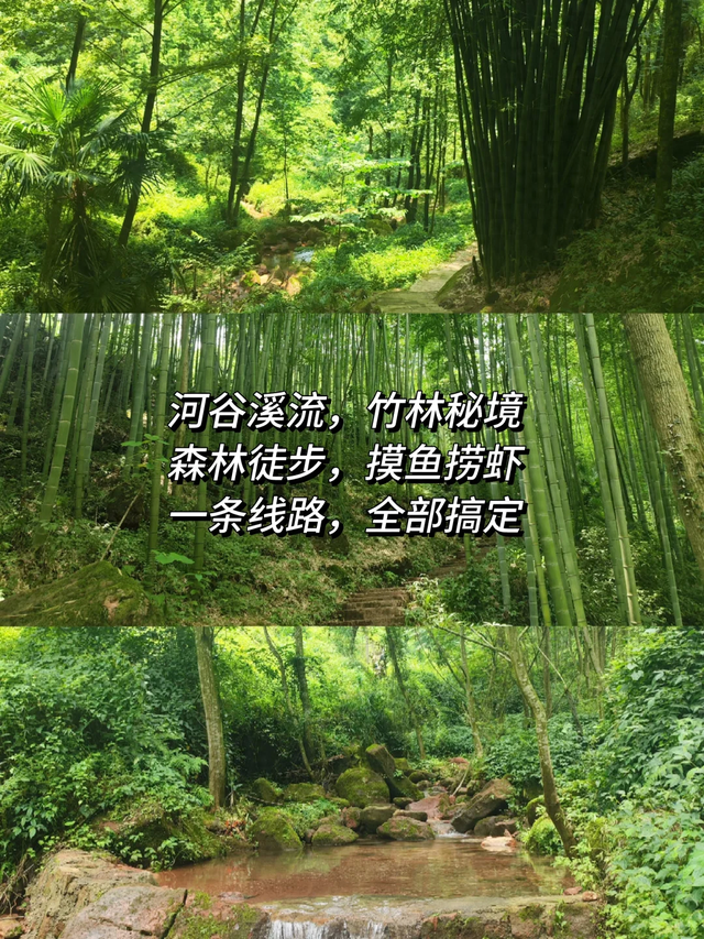 实测低9℃！成都1.5h的免费溯溪玩水遛娃路线，超安逸！