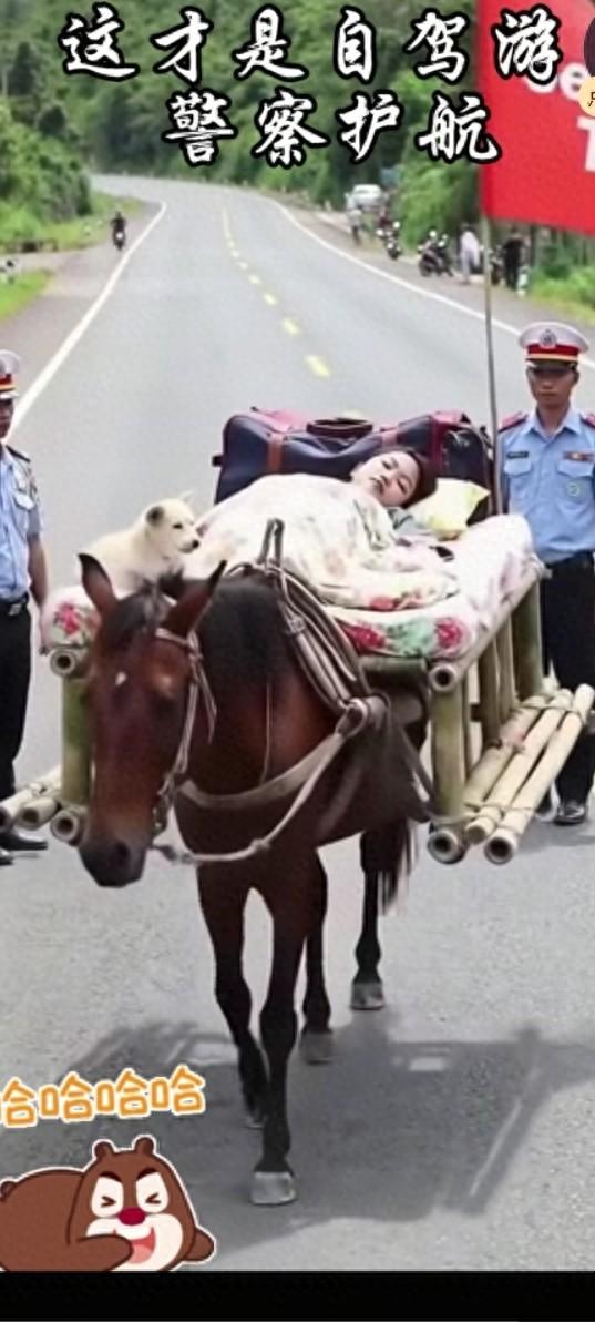 最高境界的自驾游