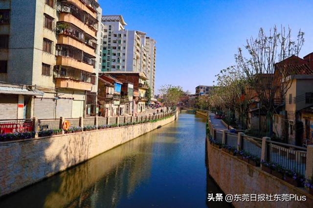 提前剧透！东莞记忆二期，更多老字号回来了