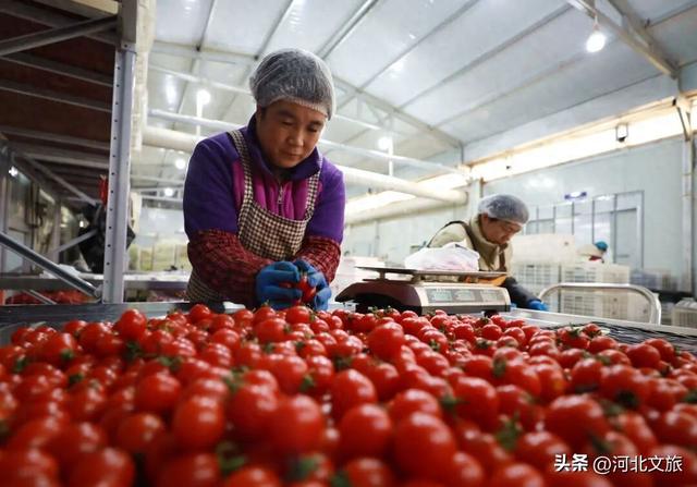 协同发展，奏响双向奔赴的活力乐章