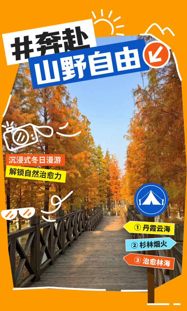 游在鹰潭 | 初冬漫游攻略：丹霞、杉林、林海的诗意三重奏【全球学子嘉游赣 奇绝鹰潭逍遥游】