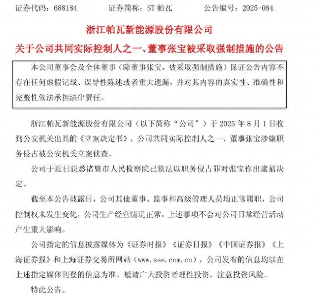 突发公告:张宝已被批捕!系中南大学博导