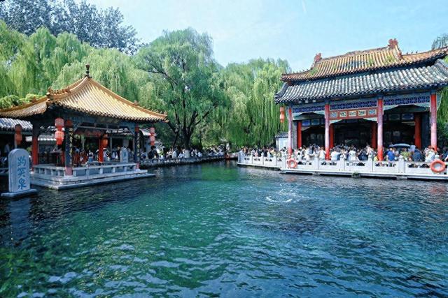 济南两大泉群双双刷新今年喷涌的最高纪录