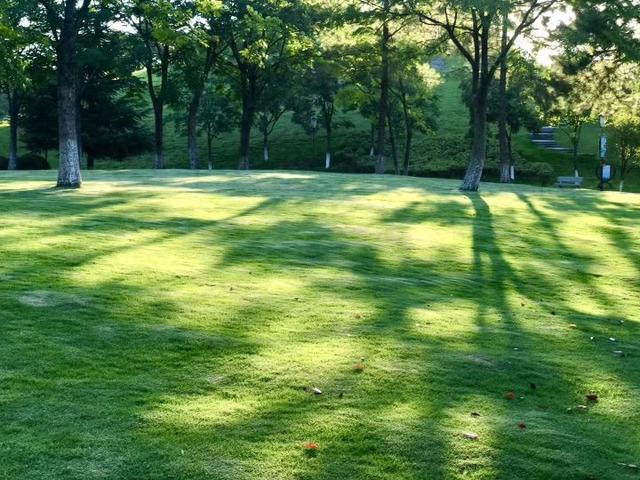 恣意的解释恣意的解释是什么（高中语文教材必修13字词整理）