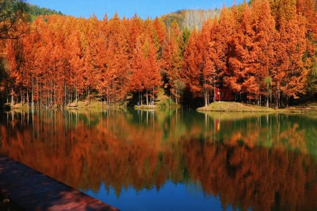 杉 杉 来 了 🤗🧣🧡