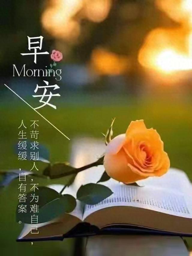 词语阳光明媚什么意思（阳光明媚）