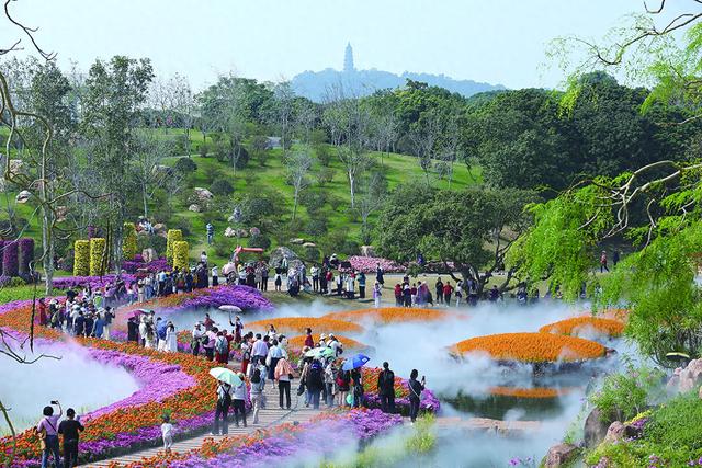 品牌文旅为引 乐享冬日时光（四）