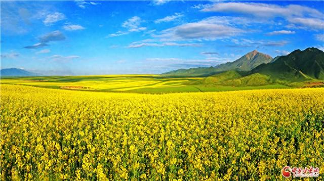 何以中国·壁画里的中国｜当“九色鹿”跃入张掖 西部生态名城再绘“绿水青山”新卷