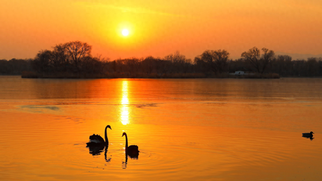 冬天来圆明园看海，邂逅一场宁静！