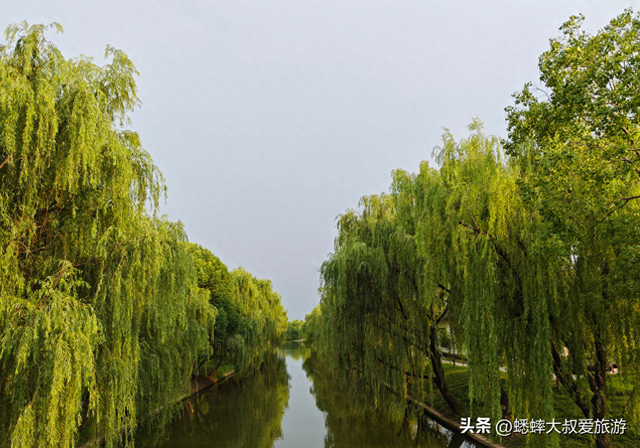 来浙江“度假古镇”吧，这里烟火气与老字号齐全，有着书中世界！