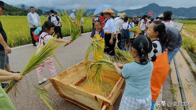 遇见临沧 如回故乡 | 摸稻鱼、揽茶香、赏傣韵！双节畅游耿马体验田园诗意