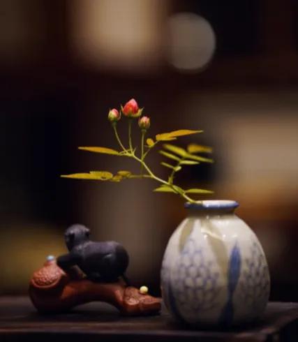比较有禅意的微信昵称（修心禅意网名）