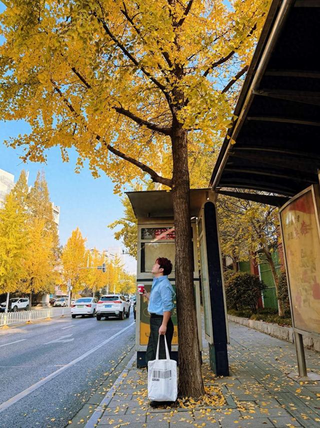 大武汉一日 | 银杏美翻了，就在武汉这里